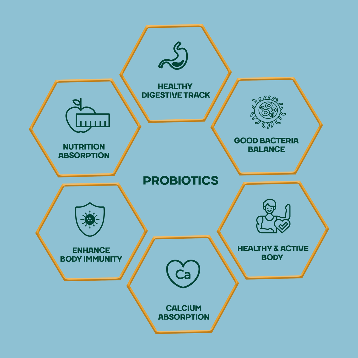 Clear Biotics Capsules Immunity Builder